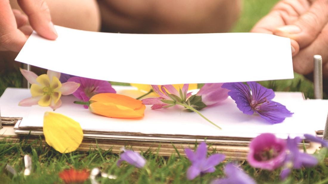 Explore the magic of flowers with your children through simple activities inspired by the Chelsea Flower Show. Discover flower pressing, potions, crafts, and more!