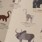 Animal World Poster & Stickers