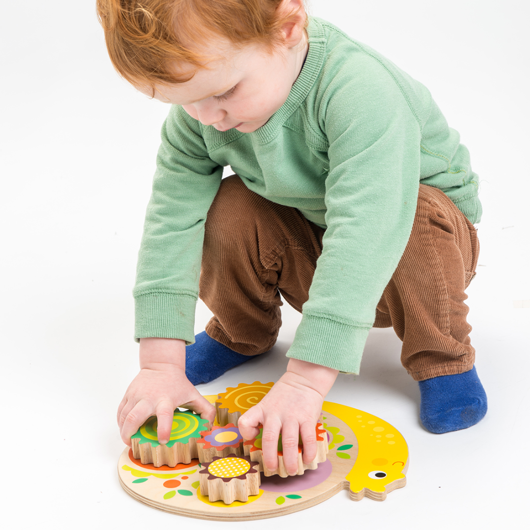 Snail Colourful Wooden Cogs and Gears Toy